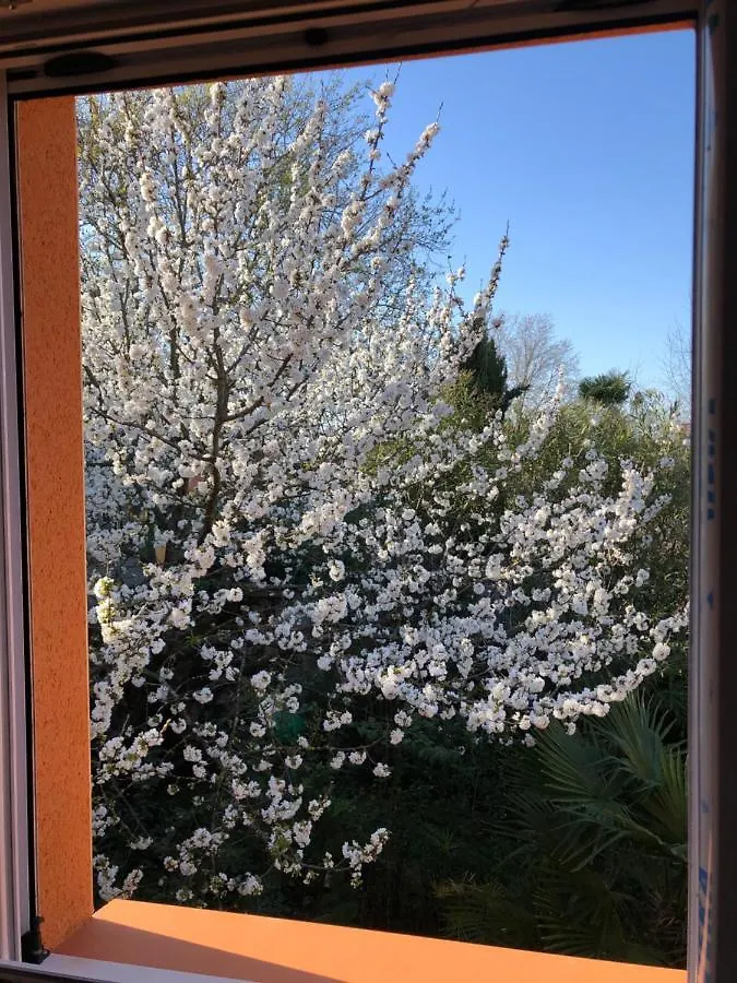 Apartment Villa Monserby Toulouse
